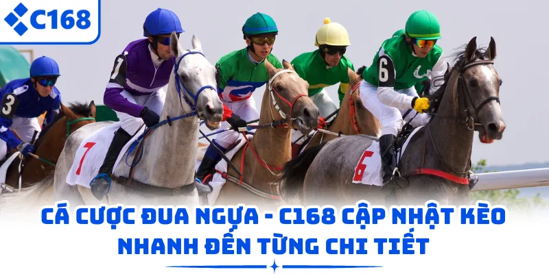 Cá Cược Đua Ngựa – C168 Cập Nhật Kèo Nhanh Đến Từng Chi Tiết